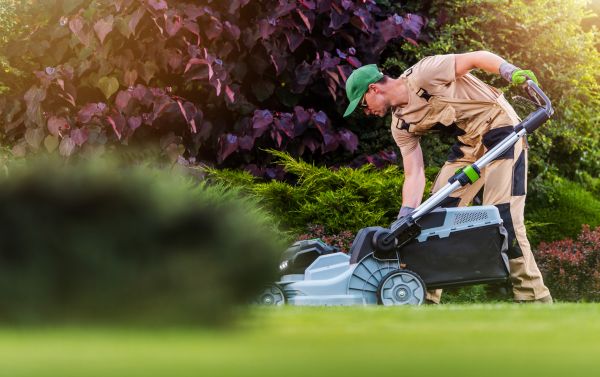 Lawn Care And Maintenance in Olathe
