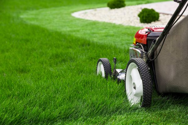 Residential Yard Mowing in Olathe