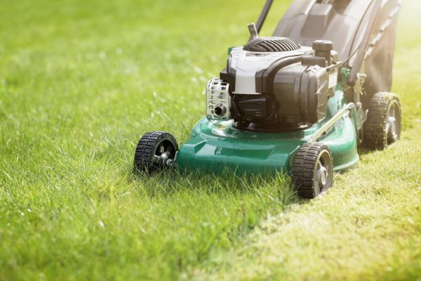 Yard Cutting in Olathe