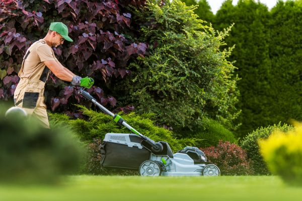 Lawn Management in Olathe
