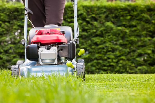 Grass Trimming Service in Olathe