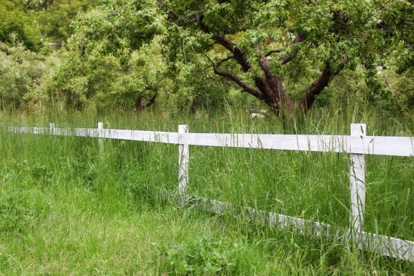Fence Line Trimming in Olathe