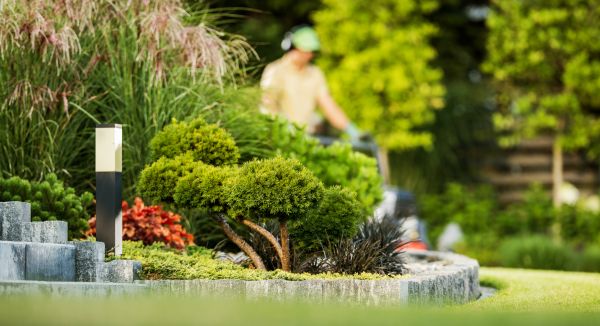 Residential Yard Maintenance in Olathe