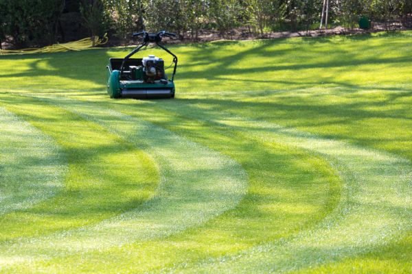 Business Lawn Mowing in Olathe