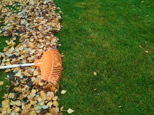 Fall Lawn Care in Olathe