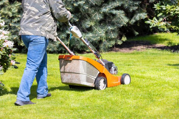 Springtime Lawn Care in Olathe