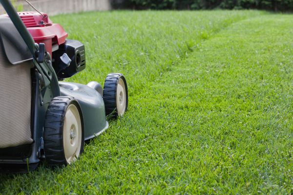 Spring Lawn Maintenance in Olathe