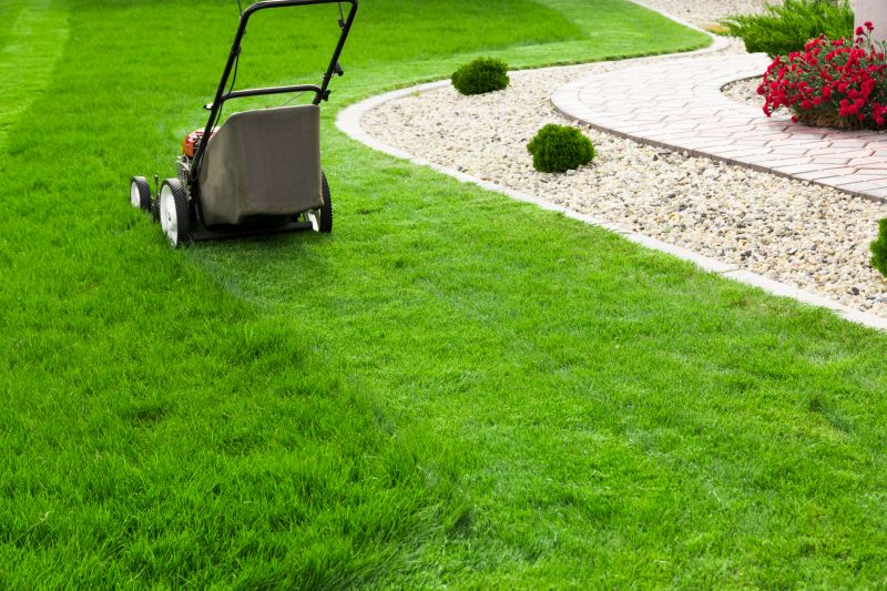 Local Lawn Care Experts