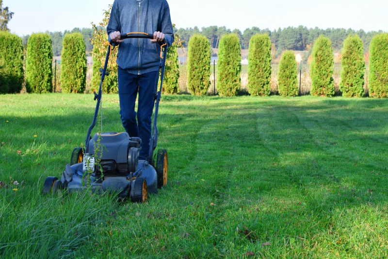 Seasonal Lawn Care Providers